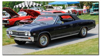 _BLC6581w.jpg
