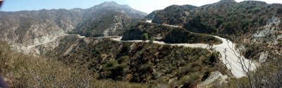 The twisties