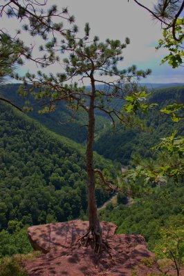 HDR Landscapes