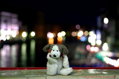 Boyd sitting on the Rialto Bridge in Venice.