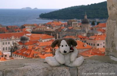38232c - Enjoying the view in Dubrovnik