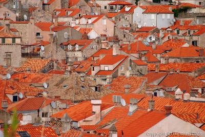 39364 - Dubrovnik rooftops