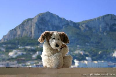 The Island of Capri