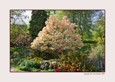 Castle Park Colchester