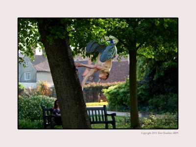 Parkour at the Park