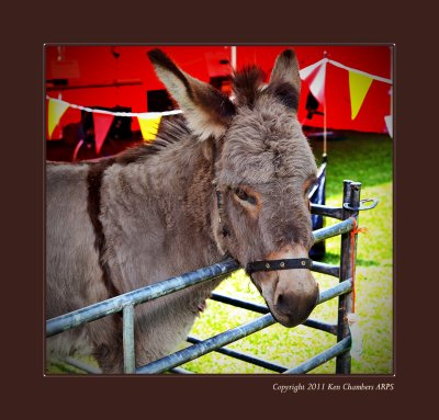 Easter Country Fayre 2011
