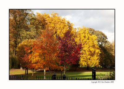 Castle Park Colchester 2011