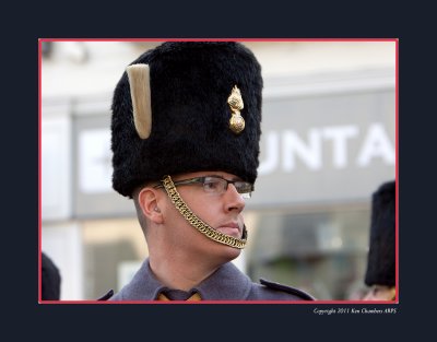 Army Musician