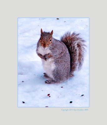 Winter's Coat to keep out the cold 