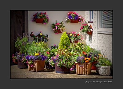 Corner Garden