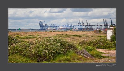 Across the Nature Reserve the Port of Felixstowe  