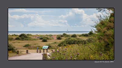 Nature Reserve between Landguard Fort & Felixtowe Town 