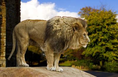 IMG_3253-01 x Zoo Twentyone.jpg