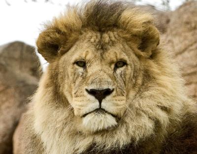 IMG_3267 x Zoo Twentytwo.jpg