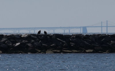 Eastern Neck National Wildlife Refuge