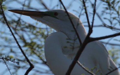 Florida 2012