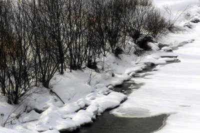_DSC3802.jpg