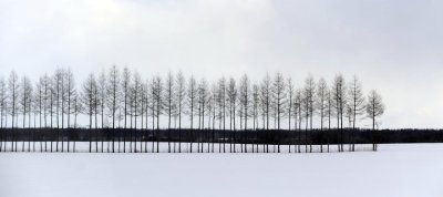 _DSC3850.jpg