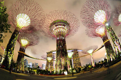 Garden By The  Bay