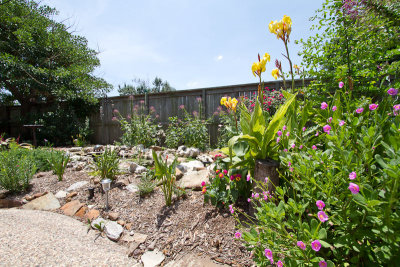 Our Garden - June 2011