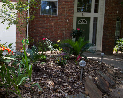 Our Garden - June 2011