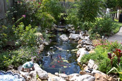 Pond