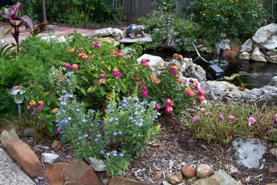 Pond edge