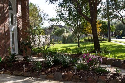 Front garden