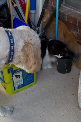 Garden helpers