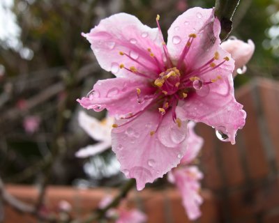 25 January, 2012