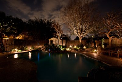 Teddy in the new garden lights