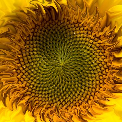 Liquified sunflower
