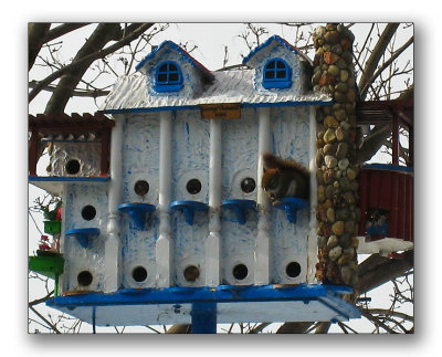 Squirrel on a Birdhouse