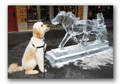 Teddy meets an ice horse