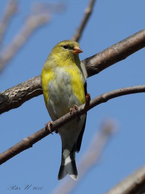 IMG_0760.JPG