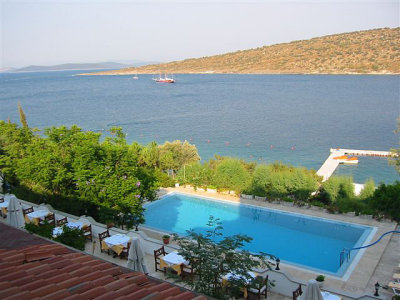 127-2730_IMG.JPG