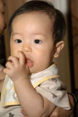 g4/01/388701/3/64456866.vZ7nLS1s.jpg