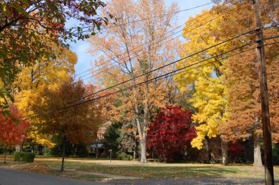 Sewickley, PA