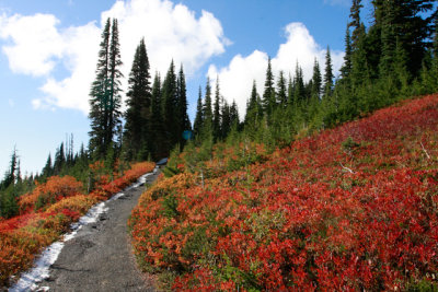 _MG_6294.jpg