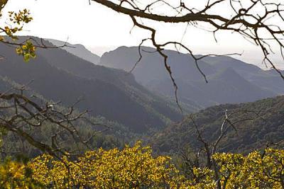 ArizonaEaster009.jpg