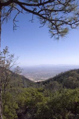 ArizonaEaster011.jpg