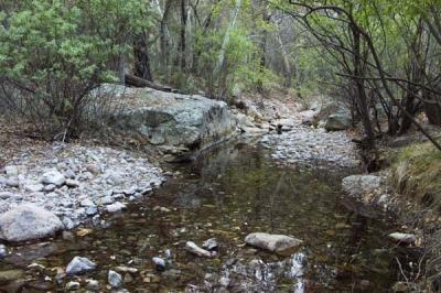ArizonaEaster025.jpg