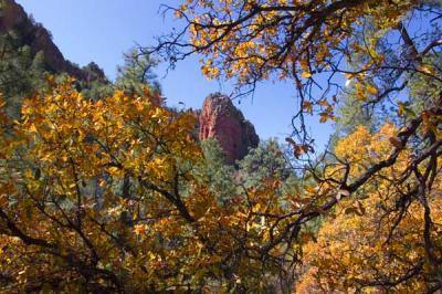 South Eastern Arizona   April 2006