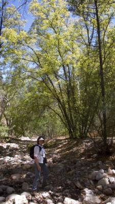 ArizonaEaster035.jpg