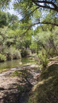 ArizonaEaster044.jpg