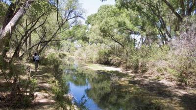 ArizonaEaster045.jpg