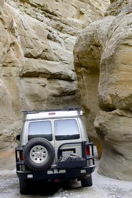 AnzaBorrego100_i9e6206.jpg