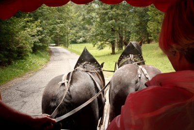 horse-drawn carriage ride