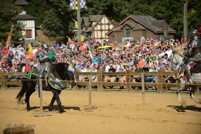 Renaissance Festival 2011