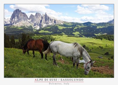 Alpe di Susi Horses